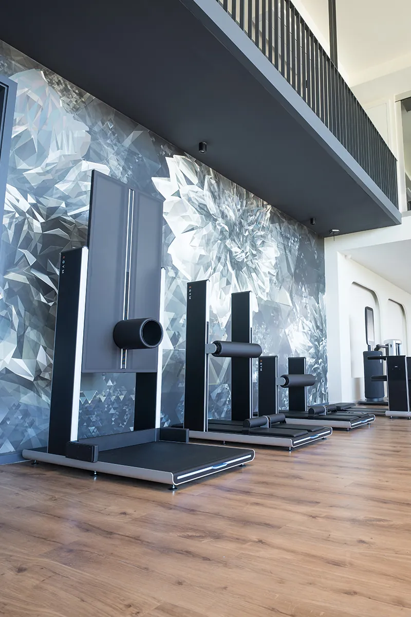 E-Gym